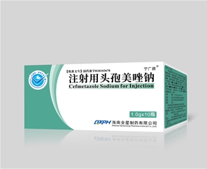 注射用頭孢美唑鈉1.0gx10支